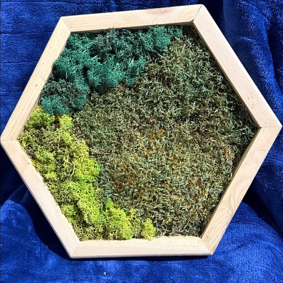 Hexagonal Framed Moss Wall Art Trio - Green and Natural Tones - Picture 2 of 9
